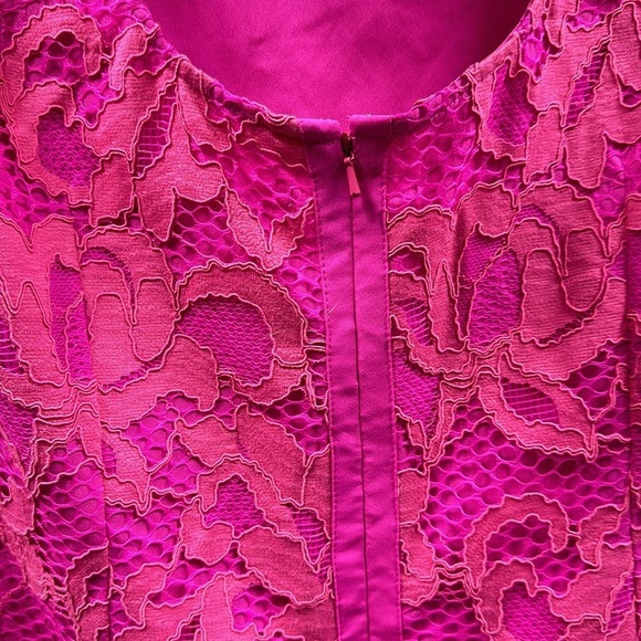 Lilly Pulitzer Pink Lace Dress - Picture 9 of 14